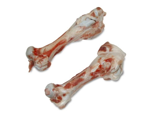 Pork Femur Bones