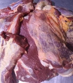 Forequarter Block Frozen