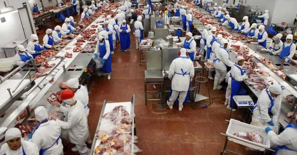 BRAZIL CHICKEN SUPPLIERS | Frozen Chicken Exporters